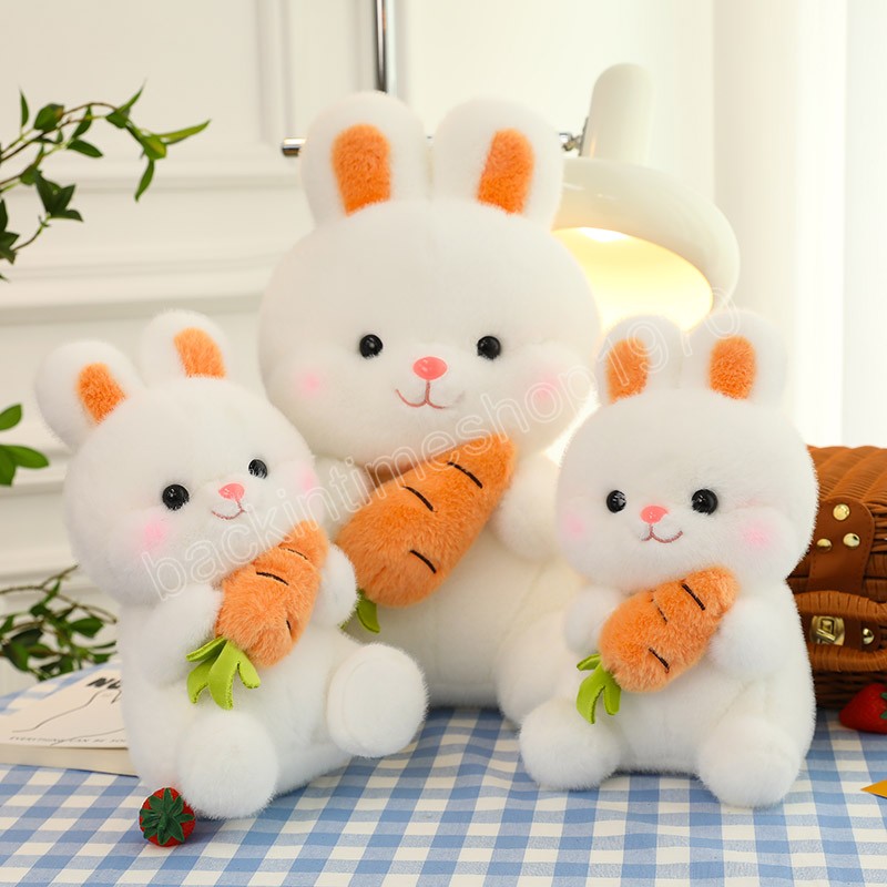 Soft Rabbit with Carrot Plush Toys