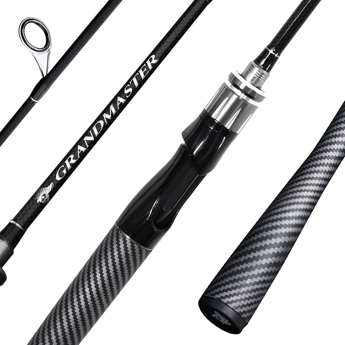 Portable Spinning/Bait-Caster Rod 2-Piece, Compact Fishing Rod, Travel Surf Rod Medium-Fast, Carbon